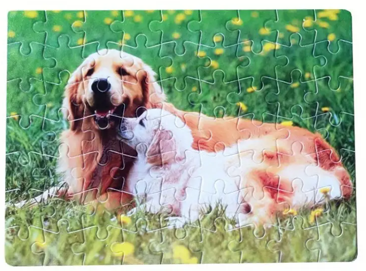 Puzzle - 80Piece