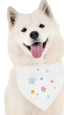 Dog Bandana Clip Collar  (Triangle)
